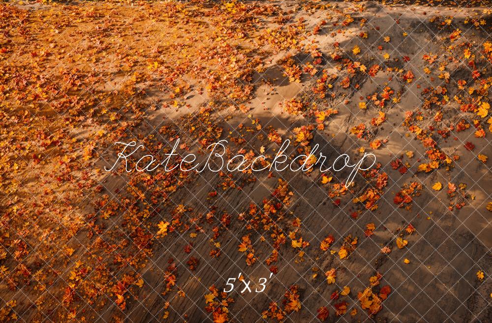 Kate Automne Feuilles Sol Toile de fond conçue par Emetselch - Kate Backdrop FR