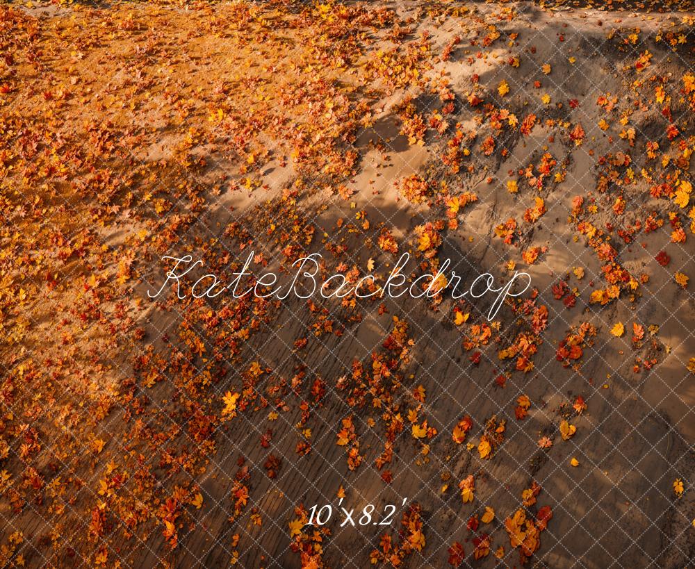 Kate Automne Feuilles Sol Toile de fond conçue par Emetselch - Kate Backdrop FR
