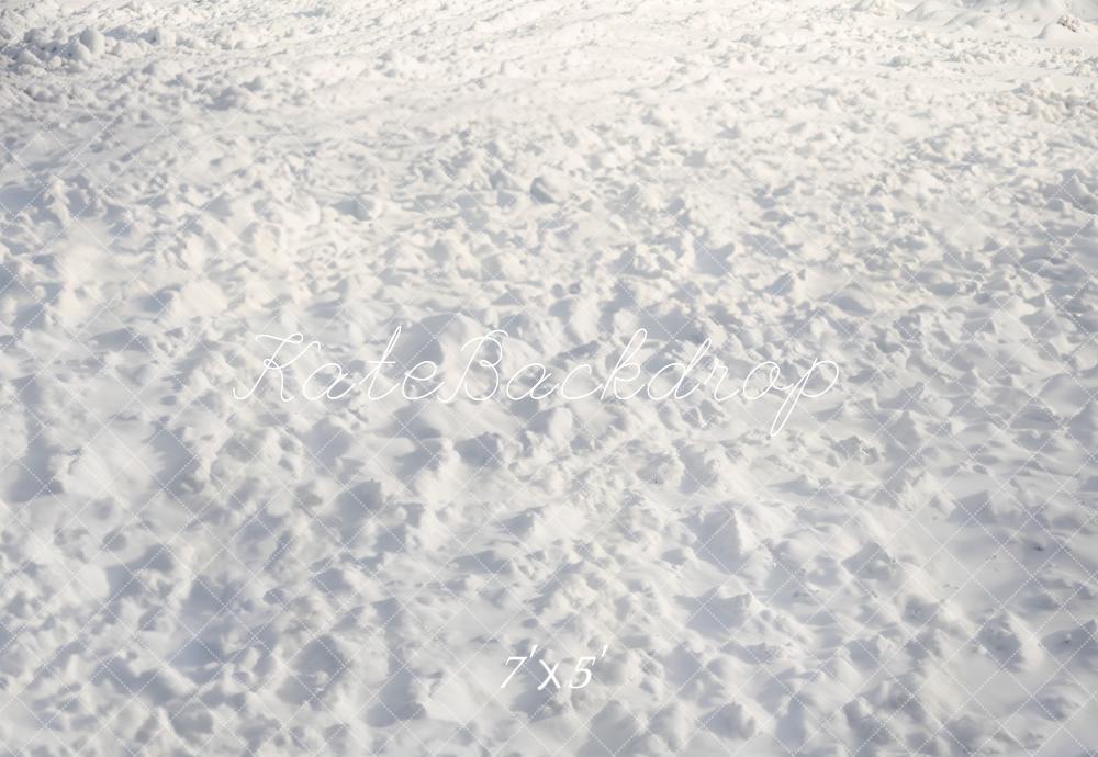 Kate Hiver Neige Sol Toile de fond conçue par Emetselch - Kate Backdrop FR