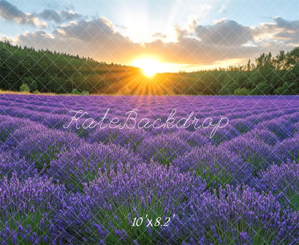 Kate Champ de Lavande Lever de soleil Toile de fond conçue par Mini MakeBelieve - Kate Backdrop FR
