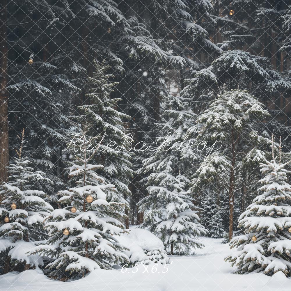 Kate Neige Forêt de pins Hiver Toile de fond conçue par Emetselch - Kate Backdrop FR