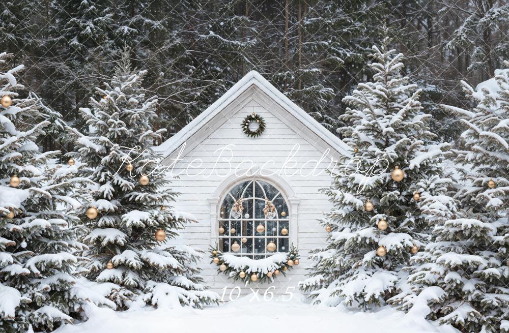 Kate Noël Neige Cabane Forêt Toile de fond conçue par Emetselch - Kate Backdrop FR