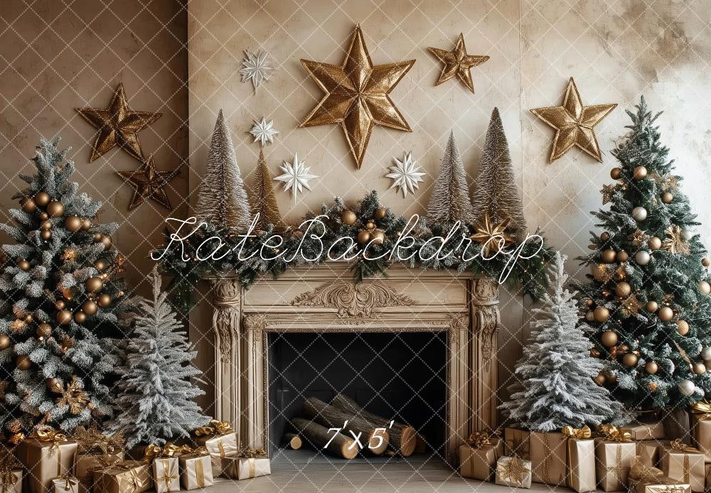 PROMO Kate Élégant Noël Cheminée Décor Étoiles Toile de fond conçue par Patty Robert - Kate Backdrop FR