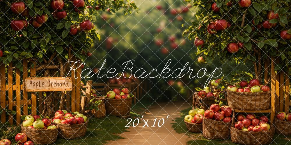 Kate Automne Verger de pommes Chemin Toile de fond conçue par Emetselch - Kate Backdrop FR