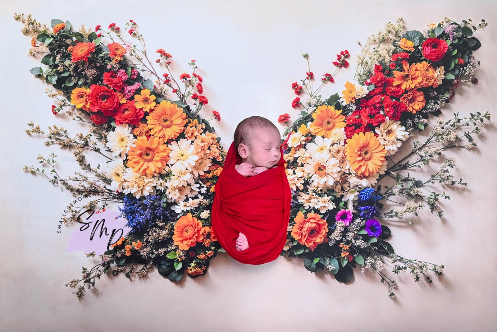 Kate Fleurs Papillon Sol Mur Bébé Toile de fond conçue par Chain Photographie - Kate Backdrop FR