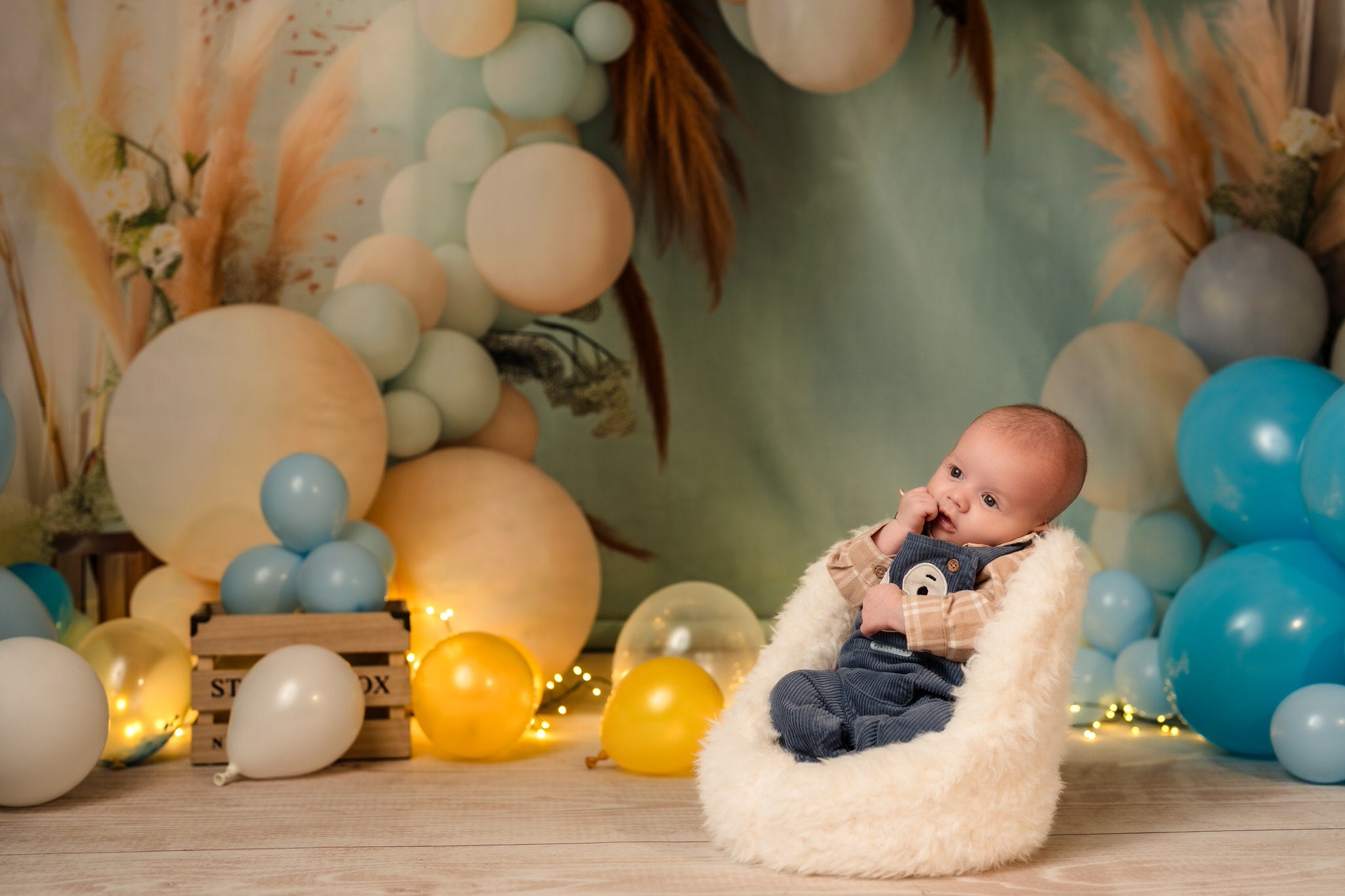 Kate Bohème Pastel Ballon Bleu Anniversaire Toile de fond conçue par Patty Roberts - Kate Backdrop FR