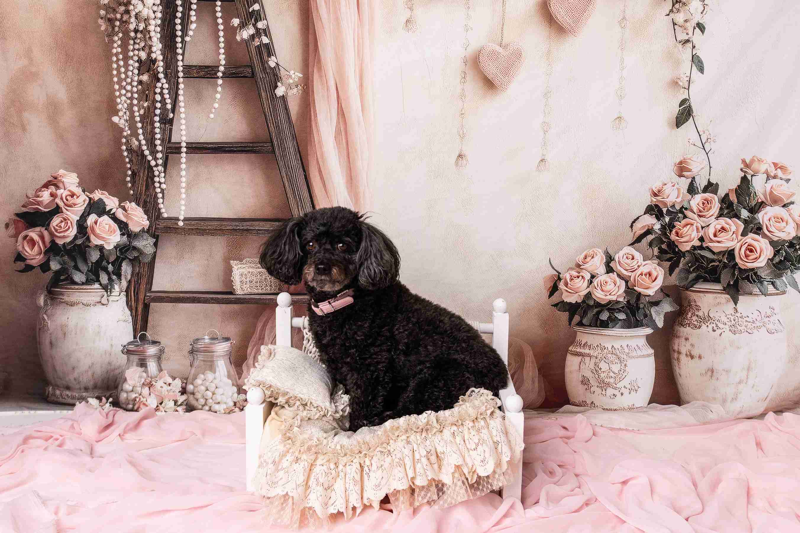 Kate Saint Valentin Rose Fleurs Échelle Rideaux Toile de fond conçue par Patty Roberts - Kate Backdrop FR
