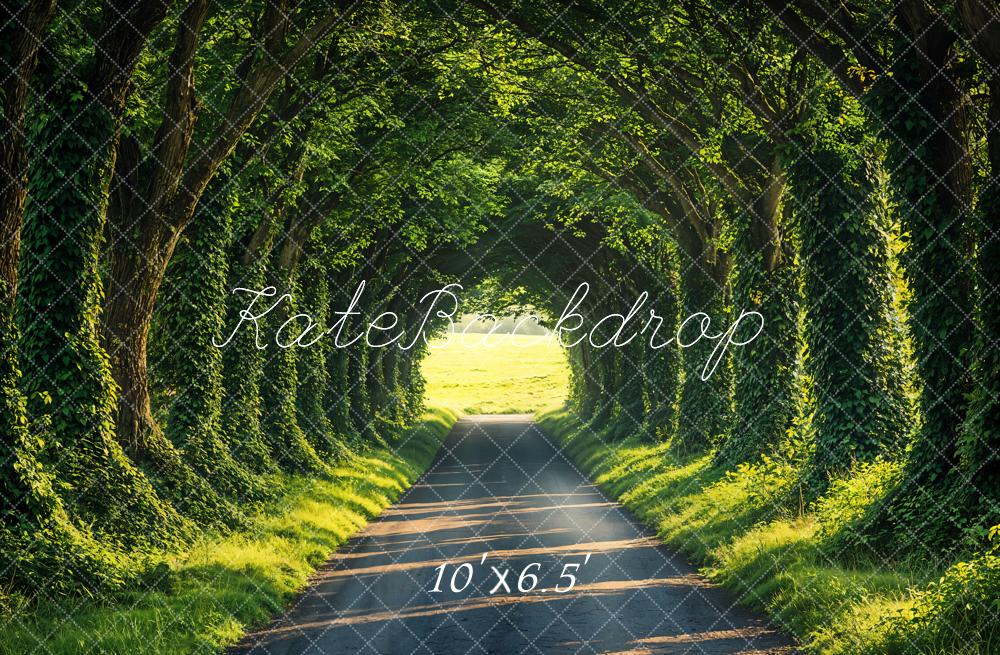 Kate Printemps Forêt Ensoleillé Chemin Toile de fond conçue par Emetselch - Kate Backdrop FR