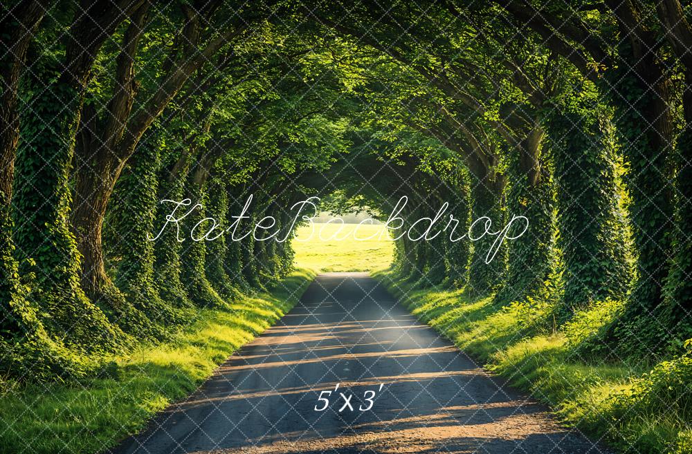 Kate Printemps Forêt Ensoleillé Chemin Toile de fond conçue par Emetselch - Kate Backdrop FR