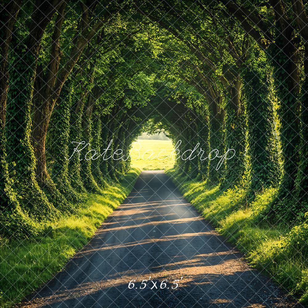 Kate Printemps Forêt Ensoleillé Chemin Toile de fond conçue par Emetselch - Kate Backdrop FR