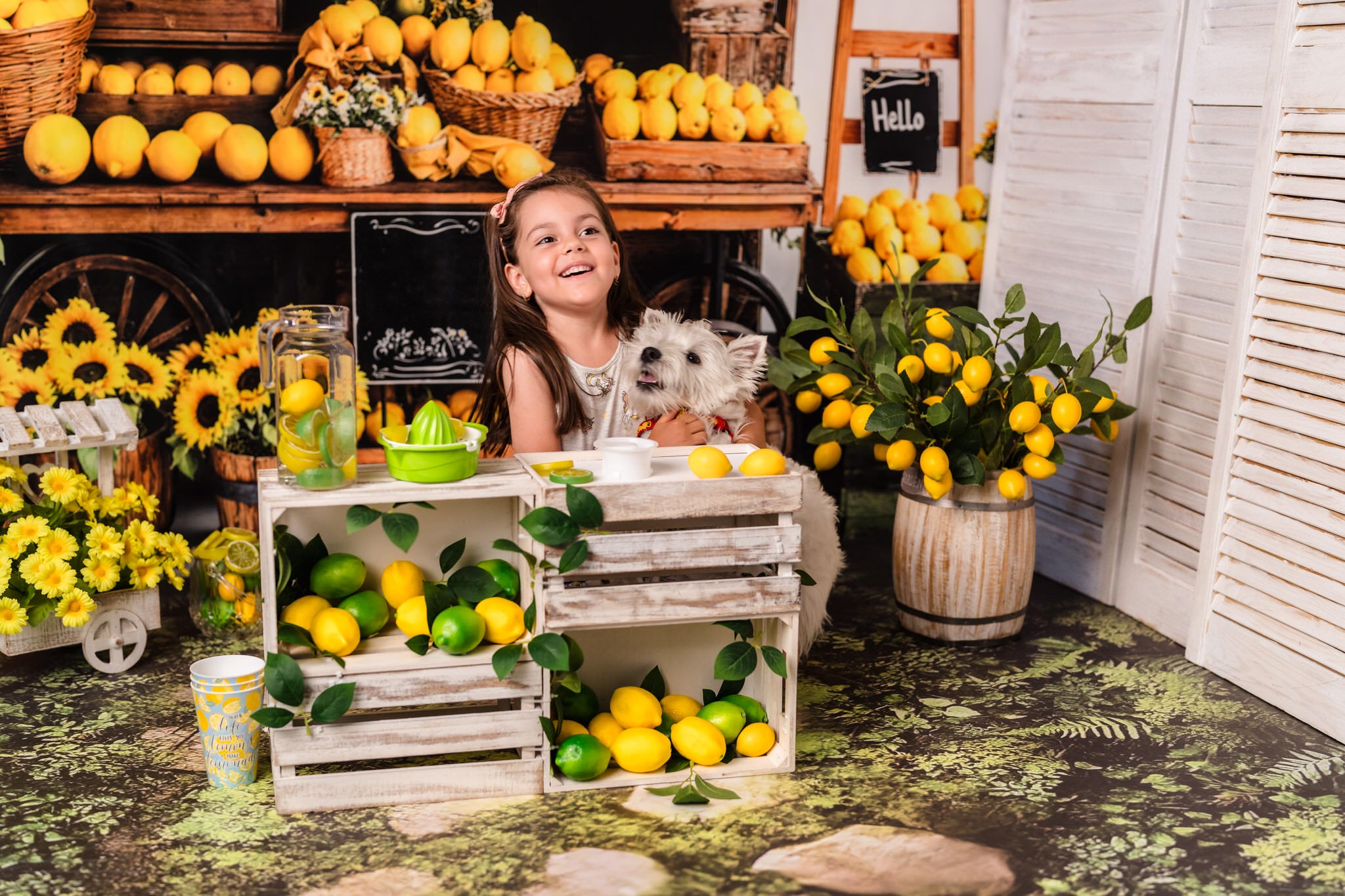Kate Été Citron Tournesol Marché Toile de fond conçue par Emetselch - Kate Backdrop FR