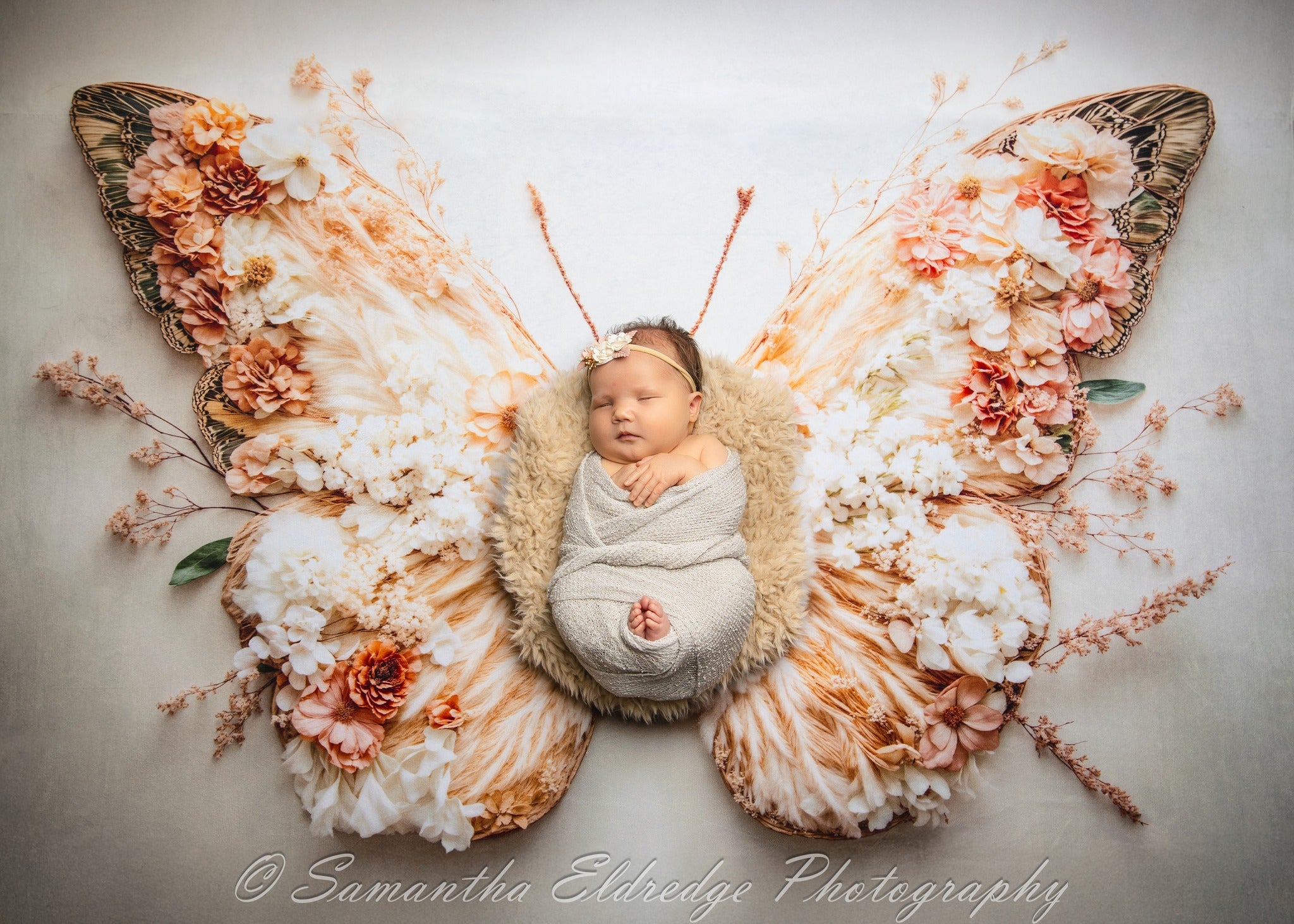 Kate Nouveau-né Fleur Ailes de Papillon Sol Toile de fond conçue par Emetselch - Kate Backdrop FR