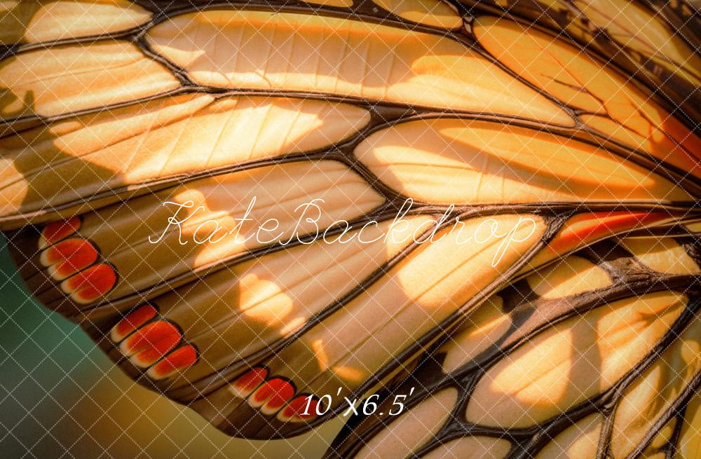 Kate Aile de Papillon Gros plan Toile de fond conçue par Emetselch - Kate Backdrop FR