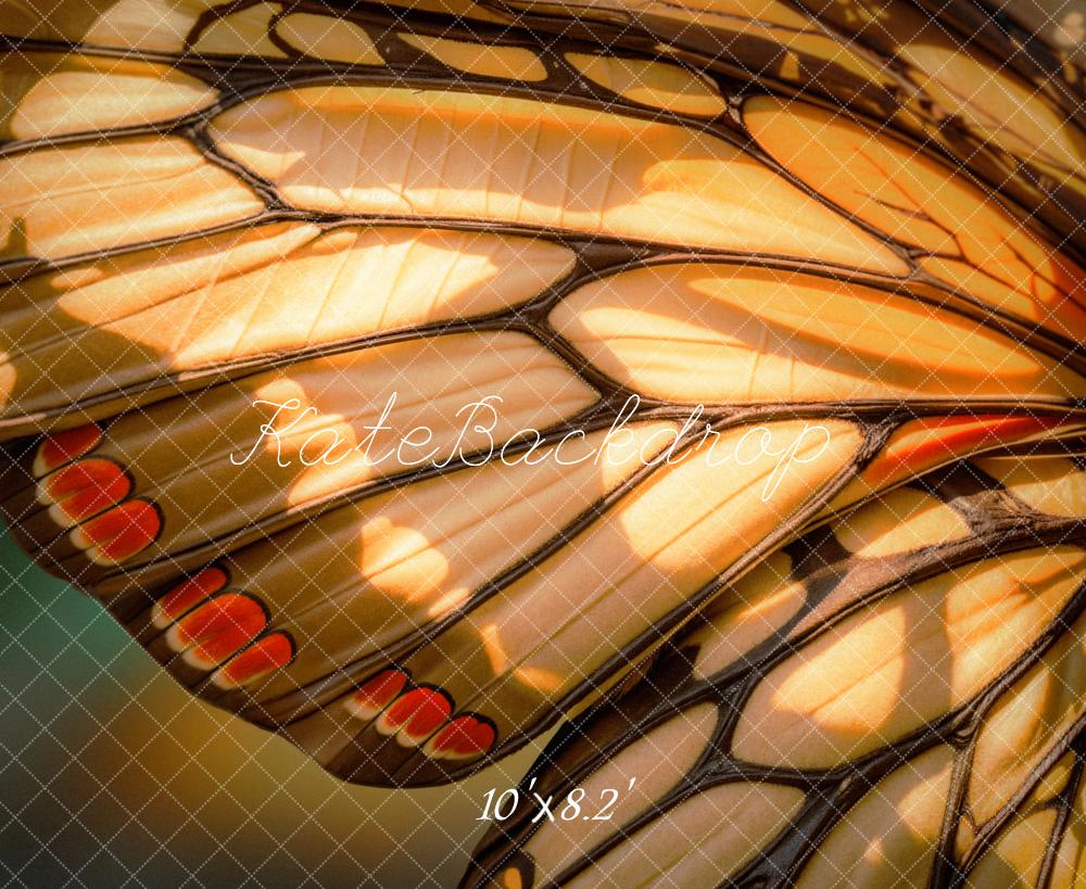 Kate Aile de Papillon Gros plan Toile de fond conçue par Emetselch - Kate Backdrop FR