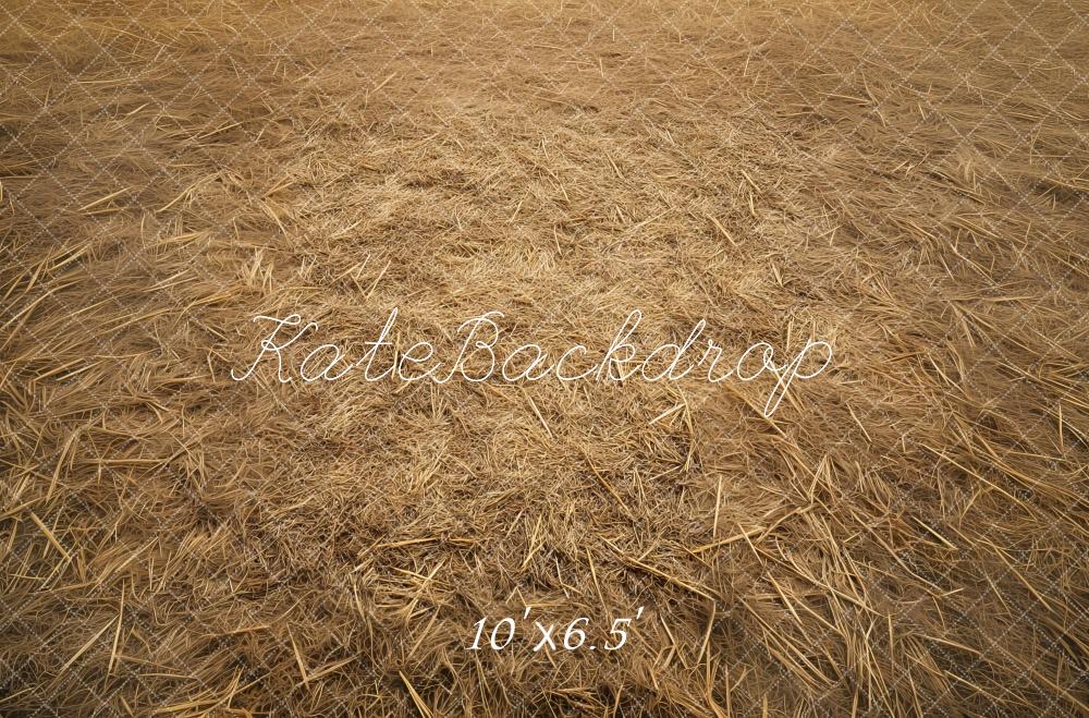 Kate Rustique Champ de Foin Sol Toile de fond conçue par Mini MakeBelieve - Kate Backdrop FR