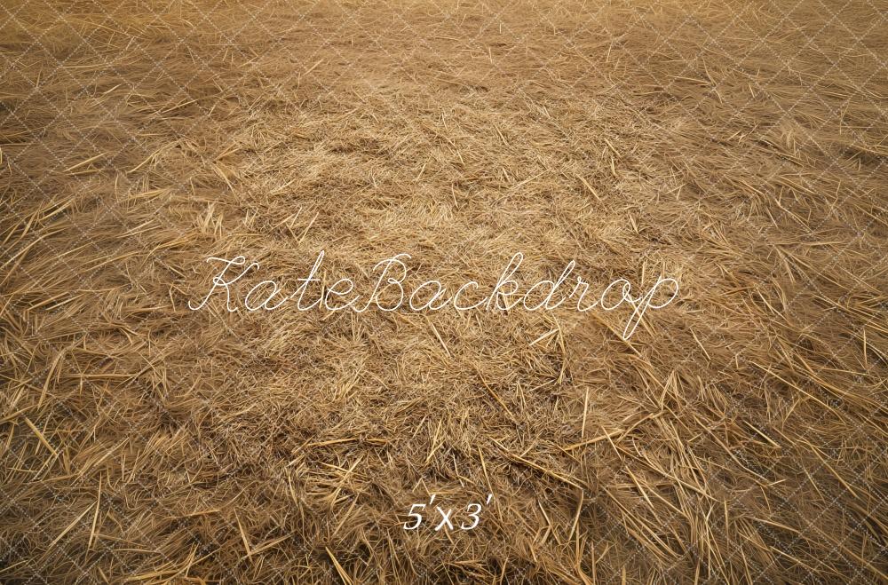 Kate Rustique Champ de Foin Sol Toile de fond conçue par Mini MakeBelieve - Kate Backdrop FR