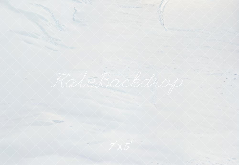Kate Hiver Neige Blanc Sol Toile de fond conçue par Emetselch - Kate Backdrop FR