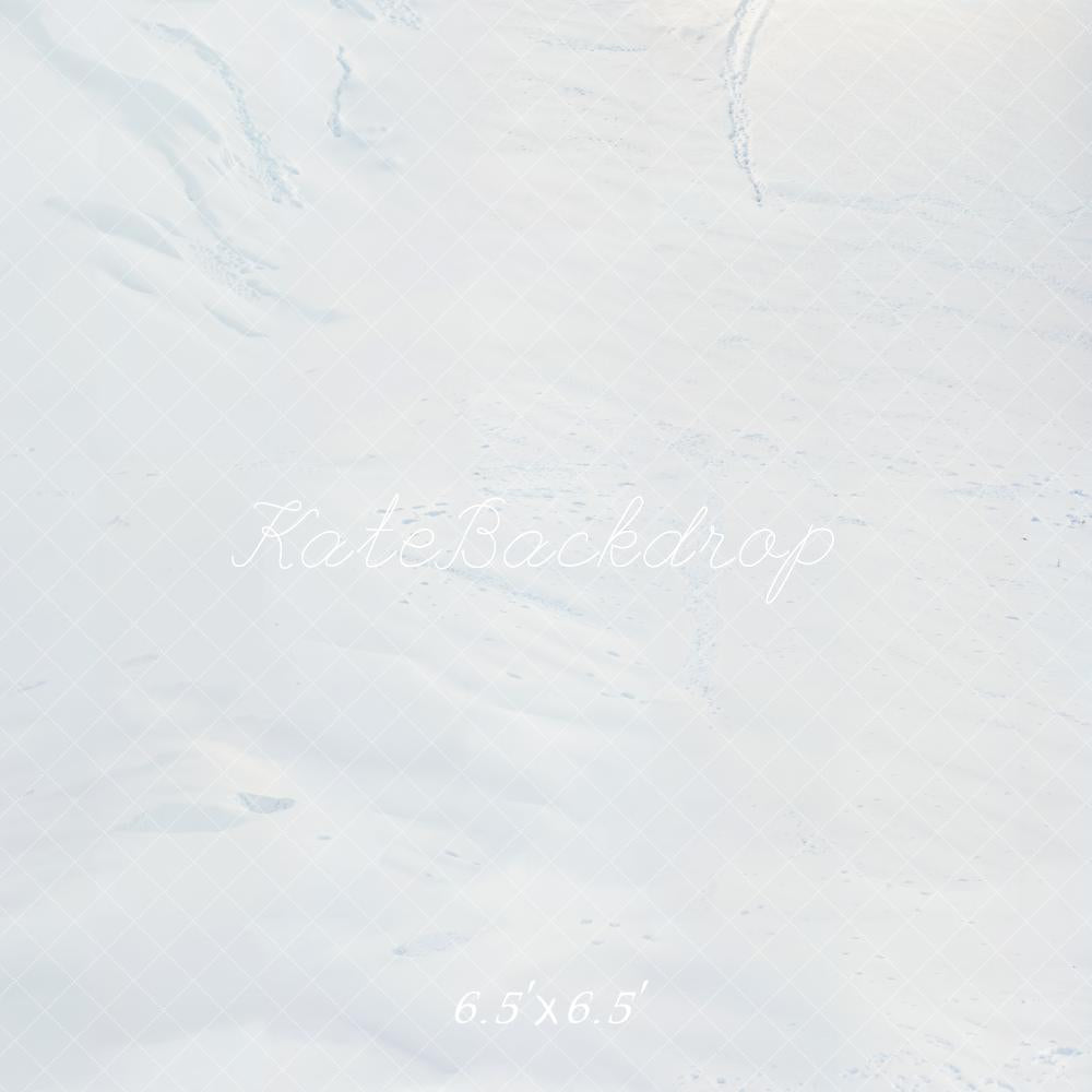 Kate Hiver Neige Blanc Sol Toile de fond conçue par Emetselch - Kate Backdrop FR