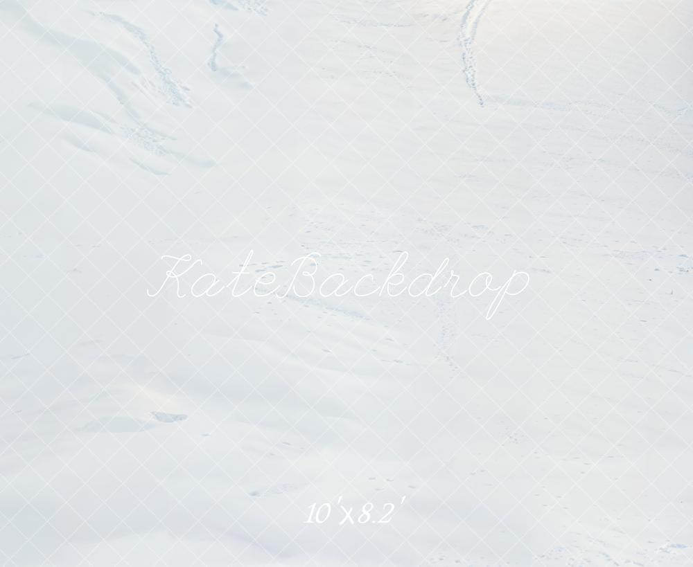 Kate Hiver Neige Blanc Sol Toile de fond conçue par Emetselch - Kate Backdrop FR