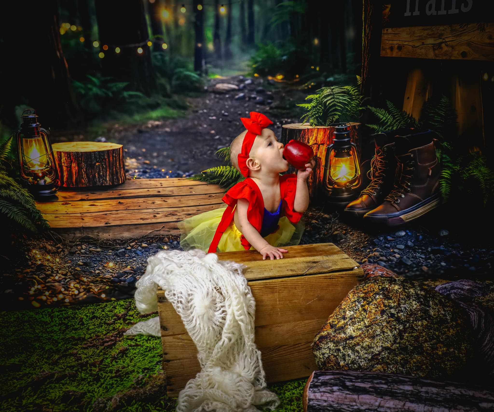 Kate Forêt Sentiers de Randonnée Lanterne Toile de fond conçue par Kate Image - Kate Backdrop FR