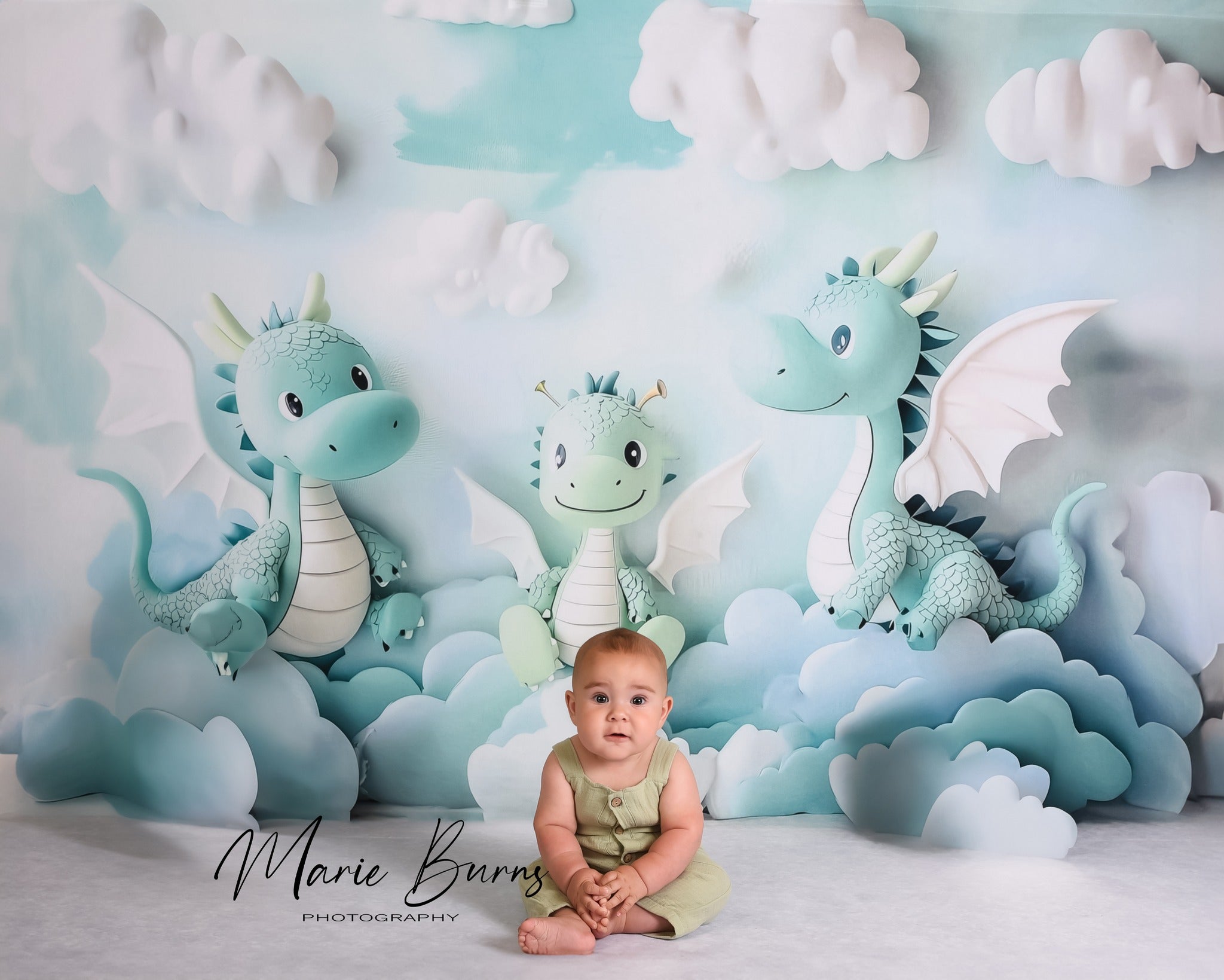 Kate Cake Smash Dragon Fantastique Nuage Toile de fond conçu par Ashley Paul - Kate Backdrop FR