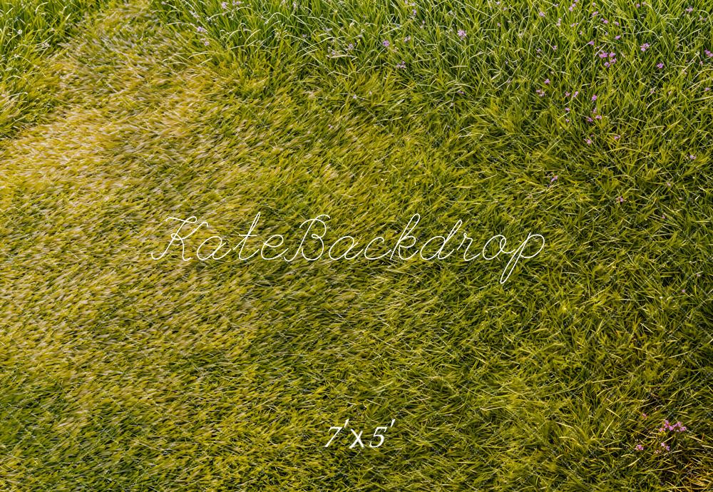 Kate Vert Herbe Prairie Sol Toile de fond conçue par Emetselch - Kate Backdrop FR