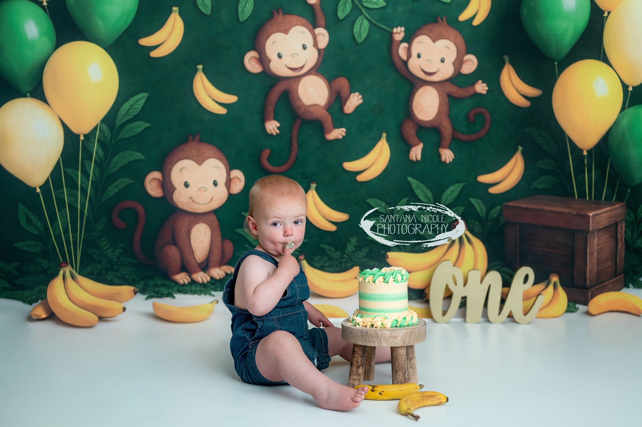 Kate Banane Singe Ballons Cake Smash Toile de fond conçu par Ashley Paul - Kate Backdrop FR