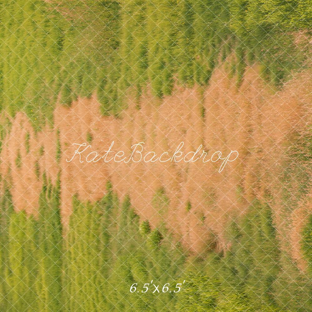 Kate Automne Herbe verte Chemin Sol Toile de fond conçue par Emetselch - Kate Backdrop FR