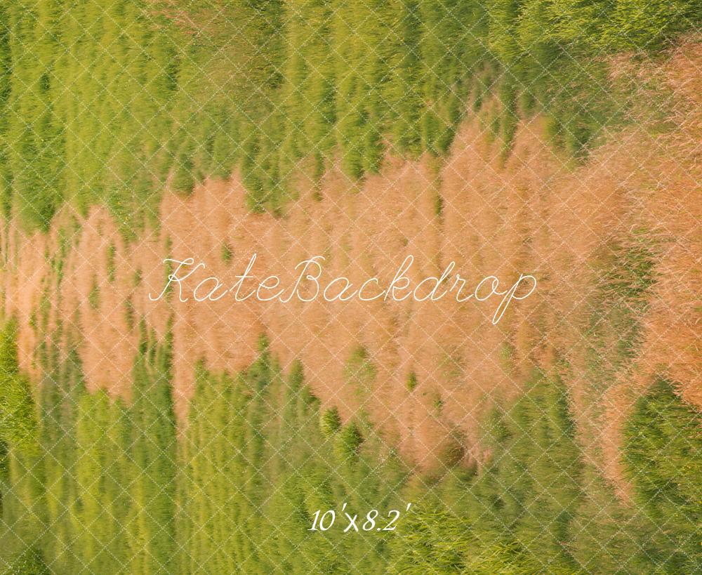 Kate Automne Herbe verte Chemin Sol Toile de fond conçue par Emetselch - Kate Backdrop FR