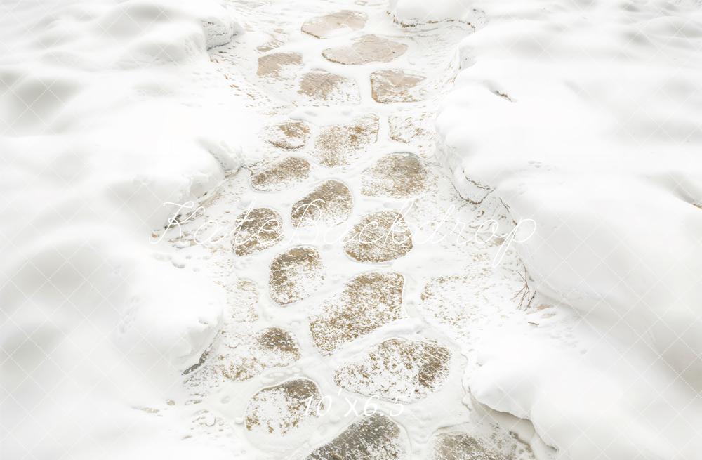 Kate Hiver Neige Pavés Chemin Sol Toile de fond conçue par Kate Image