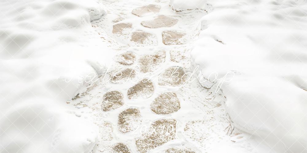 Kate Hiver Neige Pavés Chemin Sol Toile de fond conçue par Kate Image