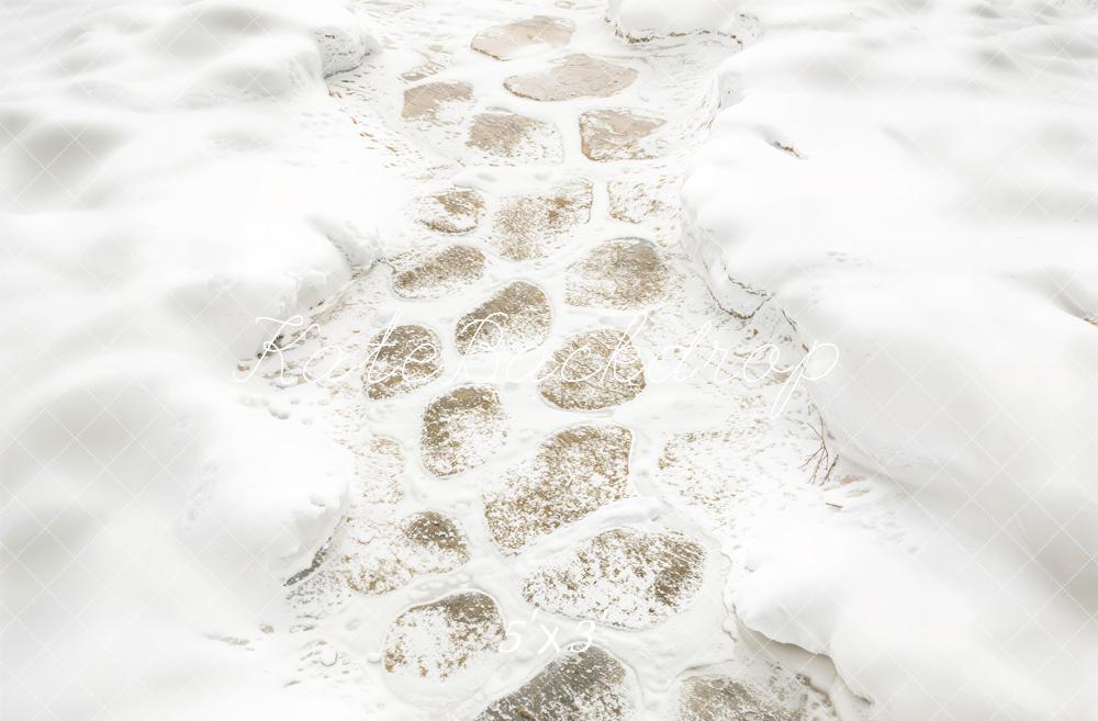 Kate Hiver Neige Pavés Chemin Sol Toile de fond conçue par Kate Image