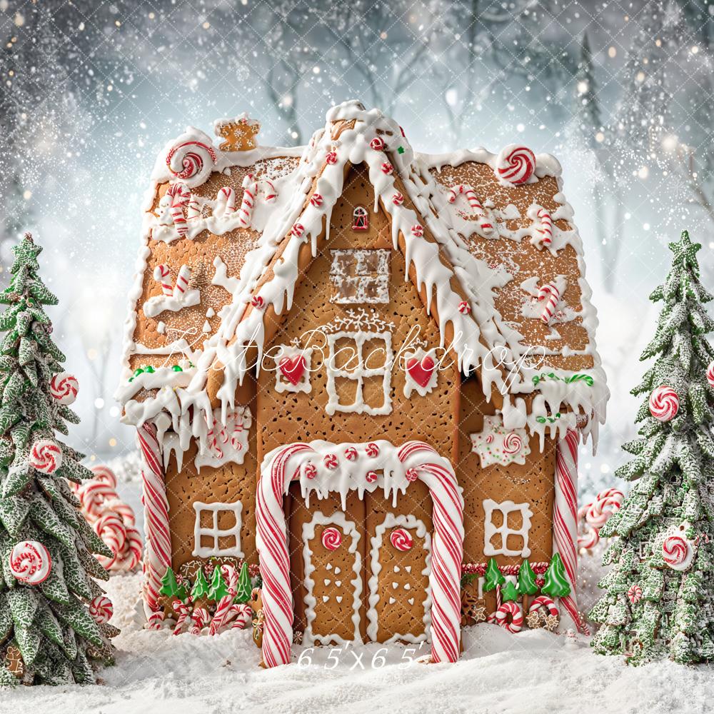 Kate Noël Maison en Pain d'épices Neige Toile de fond conçue par Chain Photographie - Kate Backdrop FR