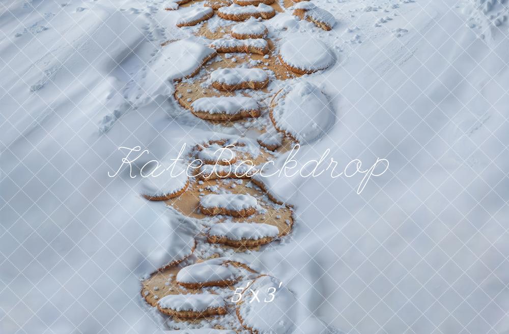 Kate Neige Chemin de Pierre Sol Toile de fond conçue par Kate Image