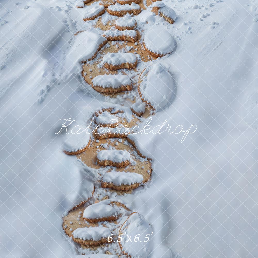 Kate Neige Chemin de Pierre Sol Toile de fond conçue par Kate Image