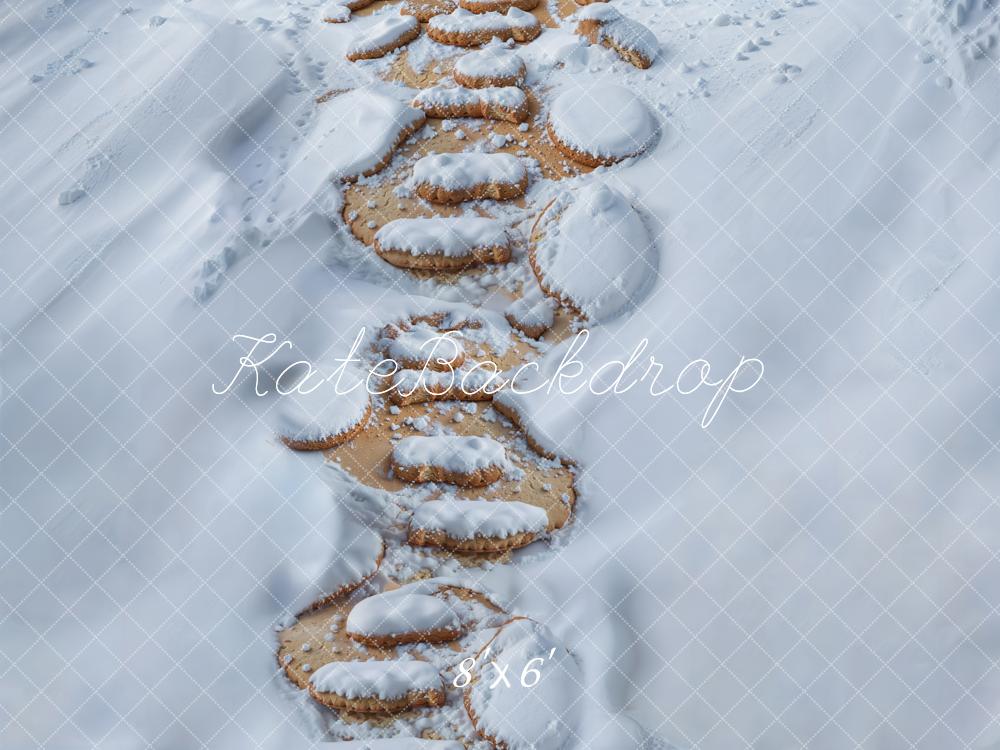 Kate Neige Chemin de Pierre Sol Toile de fond conçue par Kate Image