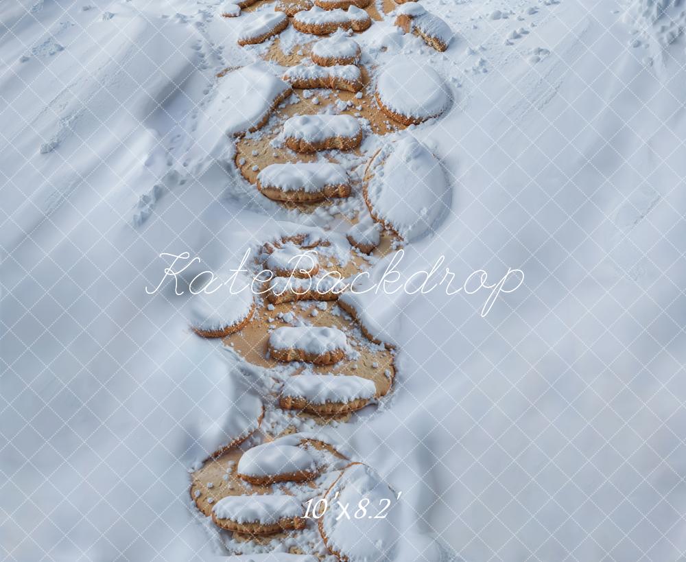 Kate Neige Chemin de Pierre Sol Toile de fond conçue par Kate Image