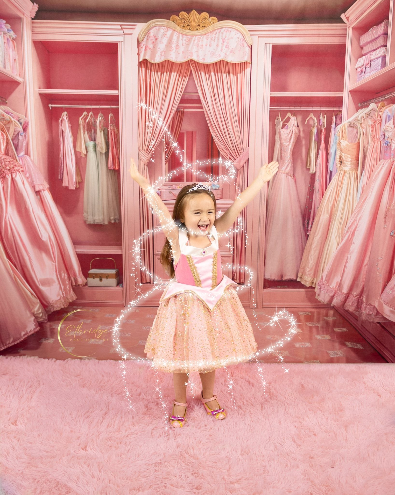 Kate Poupée Mode Placard Robes Rose Toile de fond conçue par Emetselch - Kate Backdrop FR