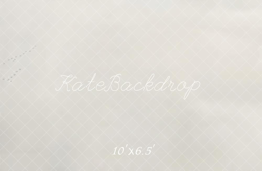 Kate Hiver Rail Neige Sol Toile de fond conçue par Emetselch - Kate Backdrop FR