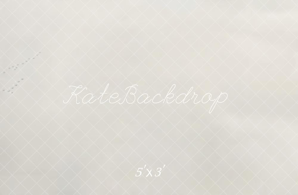 Kate Hiver Rail Neige Sol Toile de fond conçue par Emetselch - Kate Backdrop FR
