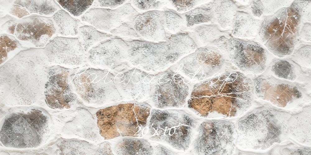 Kate Hiver Pavés Neige Sol Toile de fond conçue par Emetselch - Kate Backdrop FR