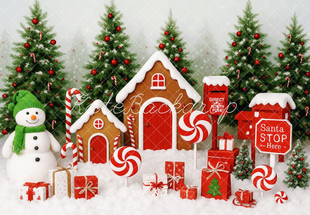 Kate Noël Pain d'épices Bonbons Neige Toile de fond conçue par Patty Roberts - Kate Backdrop FR