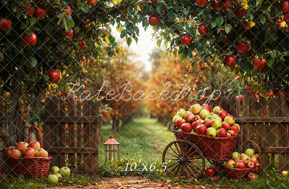 Kate Automne Pommes Verger Récolte Toile de fond conçue par Emetselch