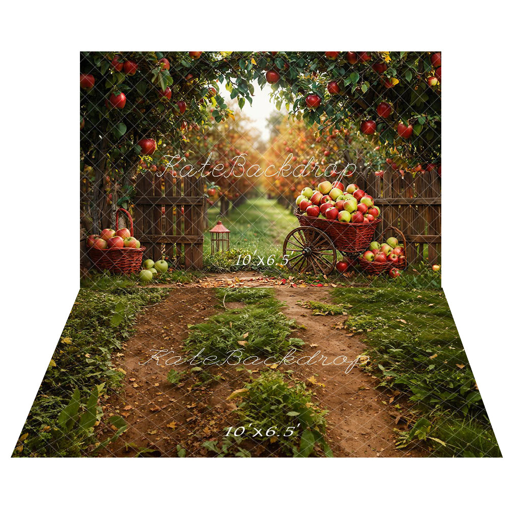 Kate Automne Pommes Verger Récolte Toile de fond+Forêt Chemin Herbe Sol Toile de fond