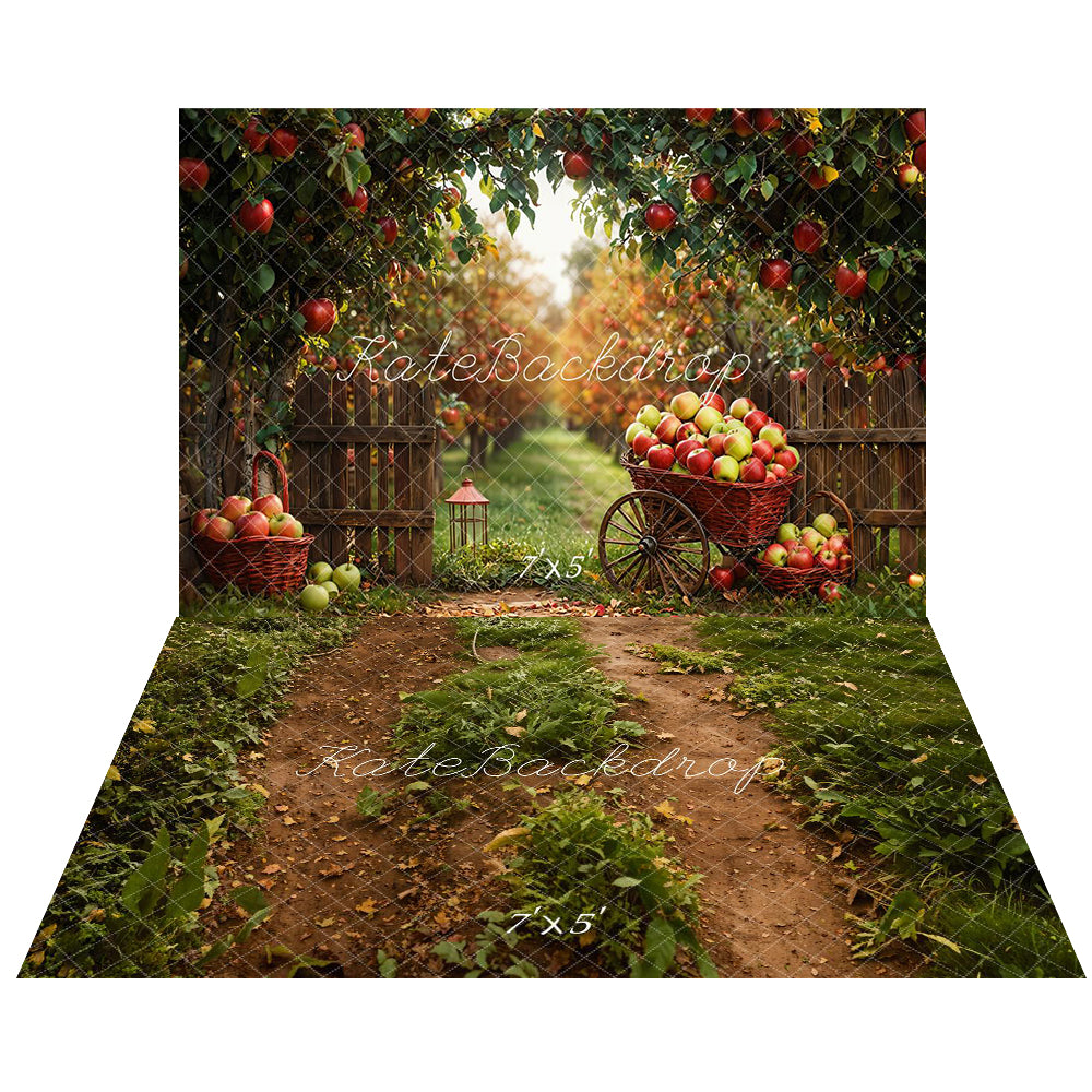 Kate Automne Pommes Verger Récolte Toile de fond+Forêt Chemin Herbe Sol Toile de fond