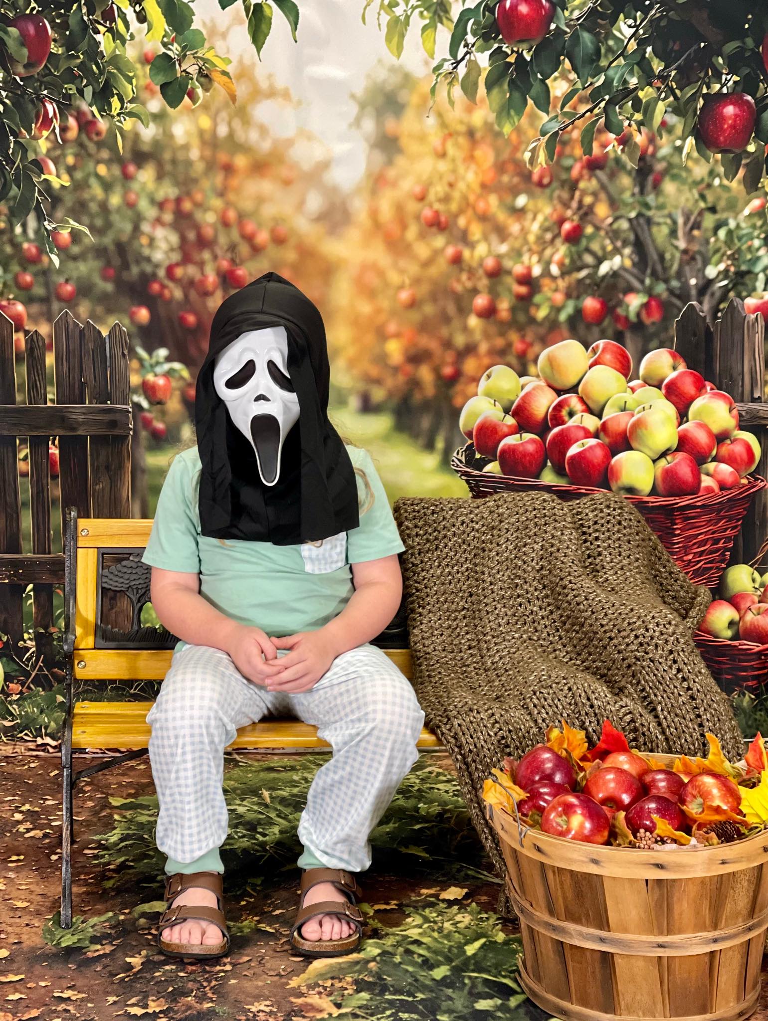 Kate Automne Pommes Verger Récolte Toile de fond conçue par Emetselch - Kate Backdrop FR