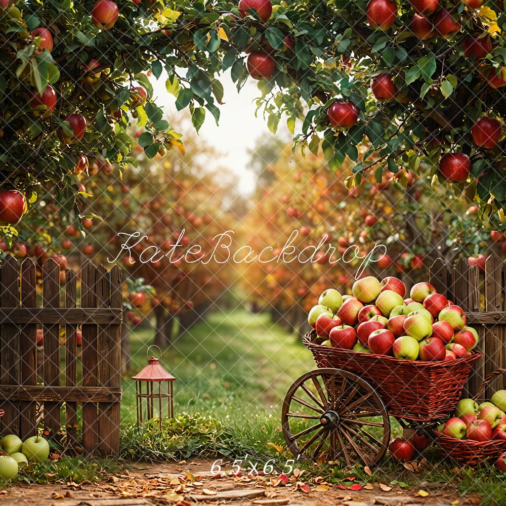 Kate Automne Pommes Verger Récolte Toile de fond conçue par Emetselch