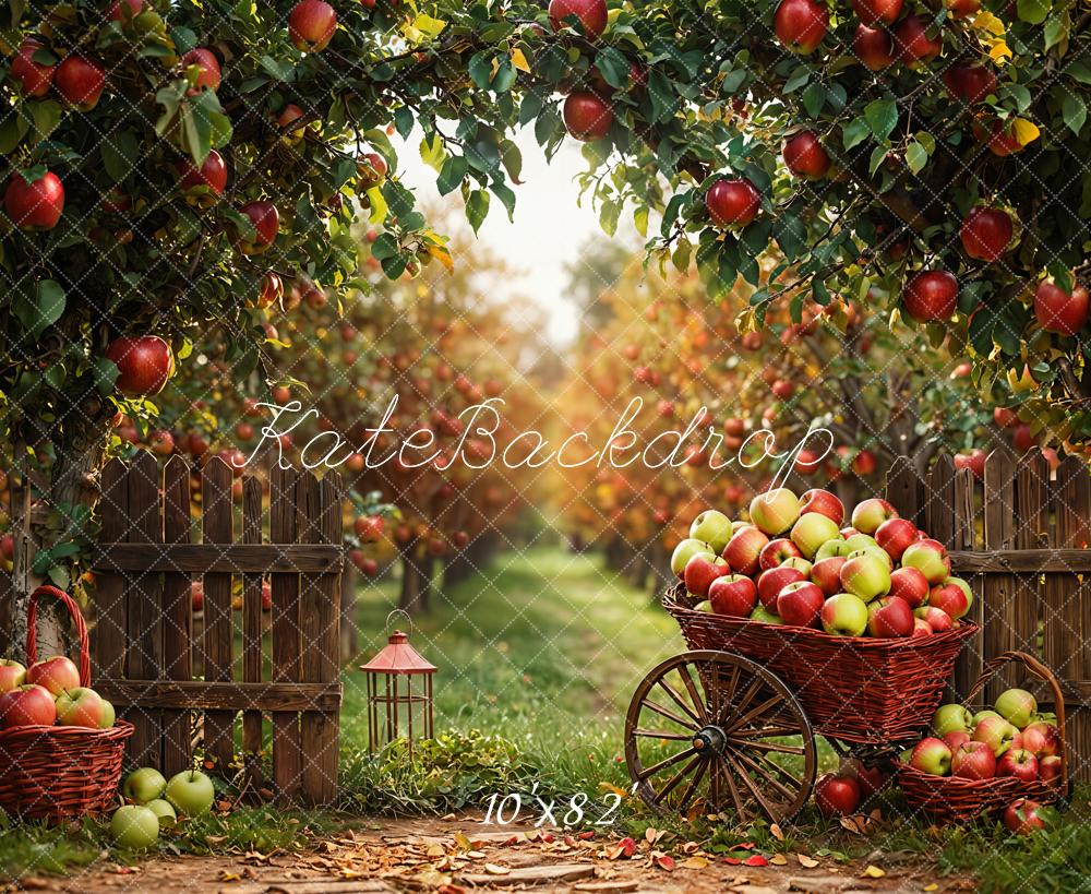 Kate Automne Pommes Verger Récolte Toile de fond conçue par Emetselch