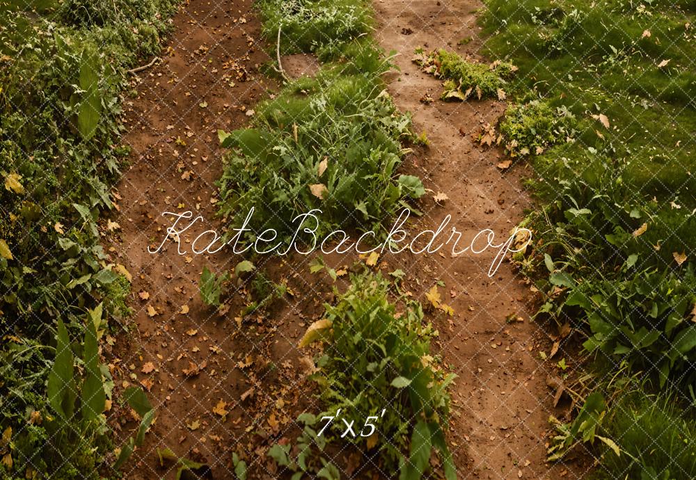 Kate Forêt Chemin Herbe verte Sol Toile de fond conçue par Emetselch - Kate Backdrop FR