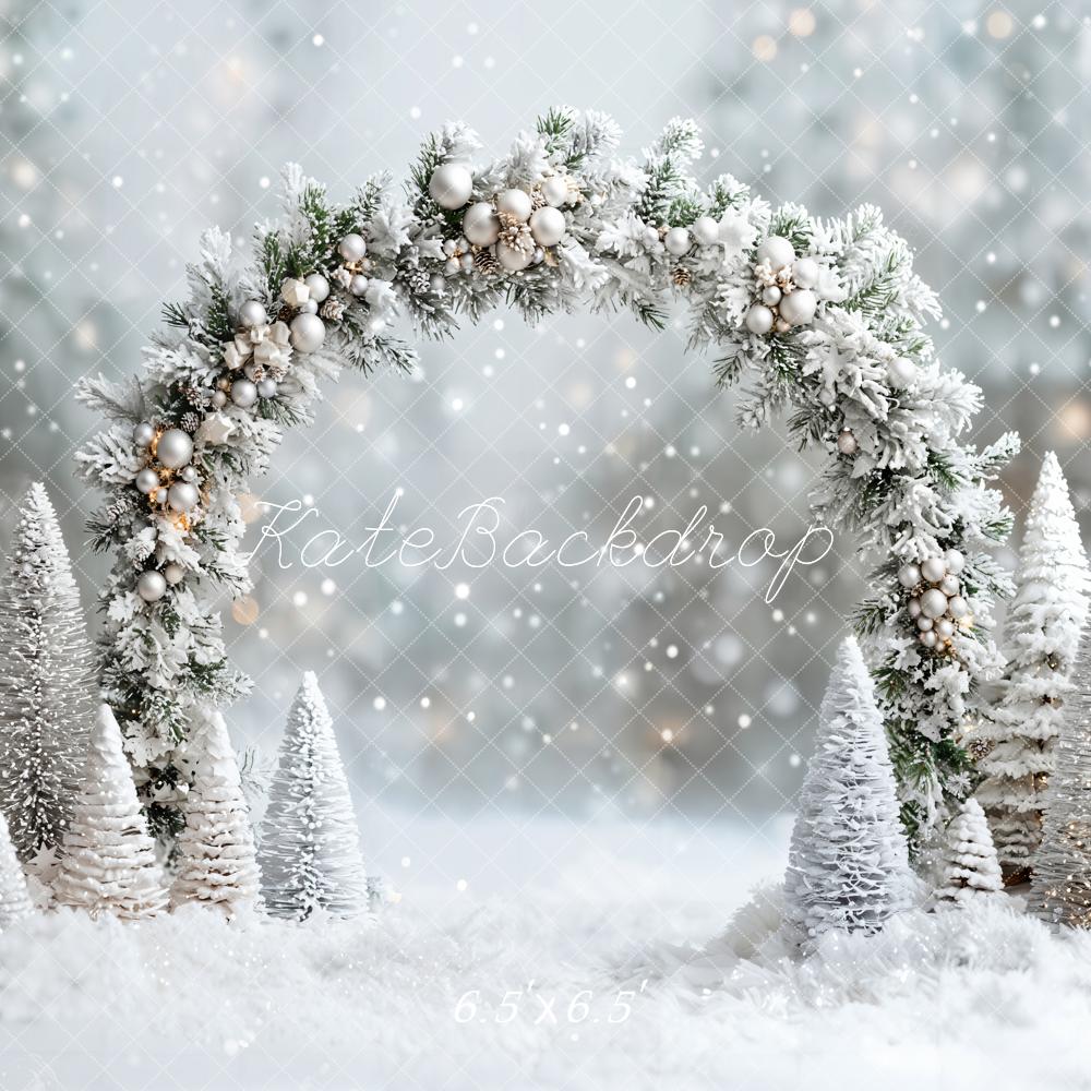 Kate Hiver Arche Neige Noël Bokeh Toile de fond conçue par Emetselch - Kate Backdrop FR